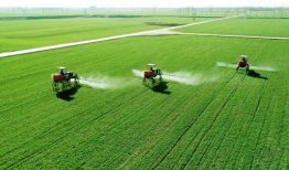 在希望的田野上,追寻乡村振兴的美丽画卷